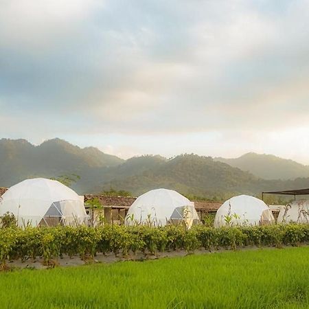 Borobudur Luxury Glamping Magelang Bagian luar foto