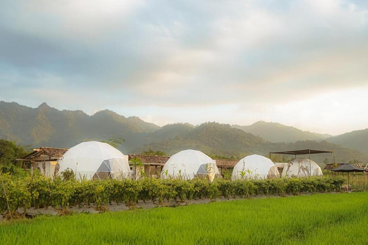 Borobudur Luxury Glamping Magelang Bagian luar foto