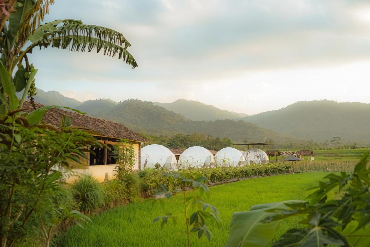 Borobudur Luxury Glamping Magelang Bagian luar foto